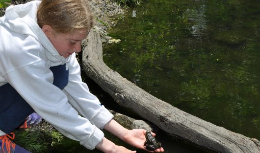 Wychwood students enjoy one-on-one with nature